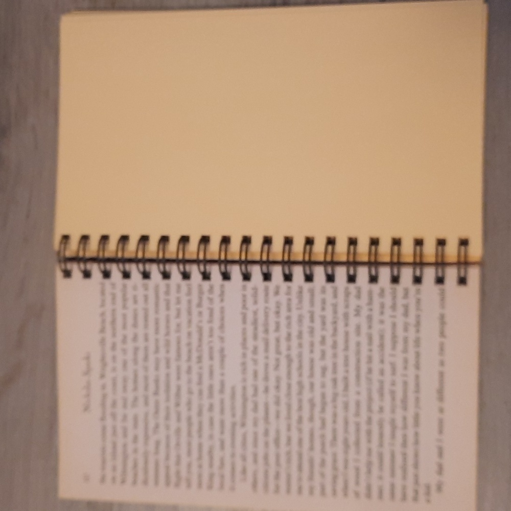 Secret Journal "Dear John" - Picture 2 of 6